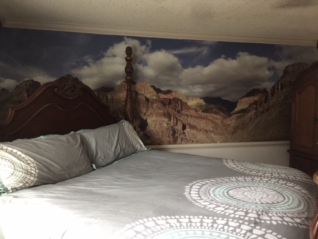 Vinyl Wall Murals